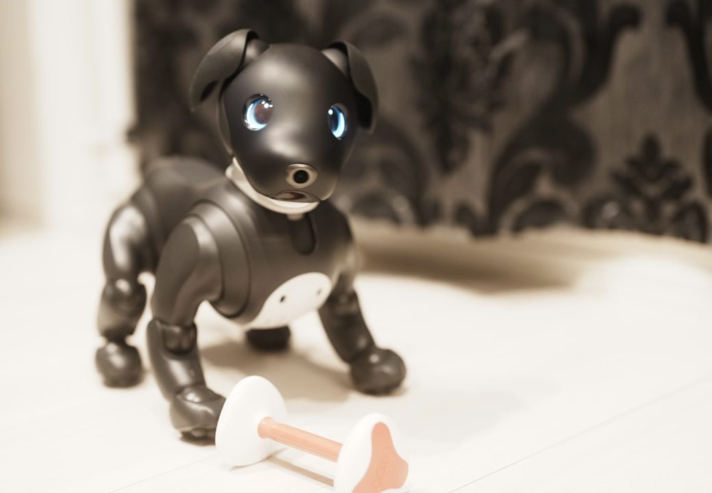 20240511_102015658_iOS-